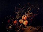 Rachel Ruysch, Still-Life with Fruit and Insects